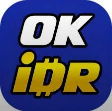 OKIDR - Aplikasi Utility Terbaik untuk Kebutuhan Sehari-hari